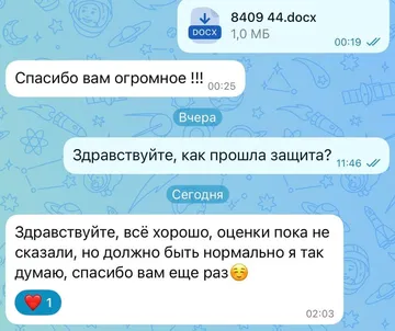 Переписка: файл работы отправлен ночью, после защиты — благодарность